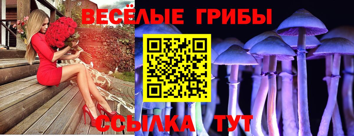 Галлюциногенные грибы MAGIC MUSHROOMS Апрелевка
