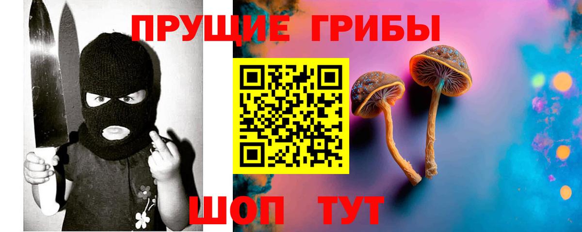 Галлюциногенные грибы Psilocybine cubensis  Вход с VPN  Апрелевка 
